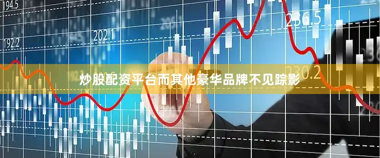 炒股配资平台而其他豪华品牌不见踪影