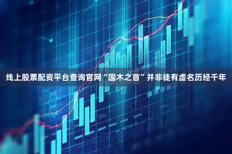 线上股票配资平台查询官网“国木之首”并非徒有虚名历经千年